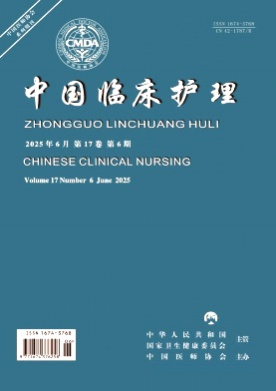 中国临床护理杂志